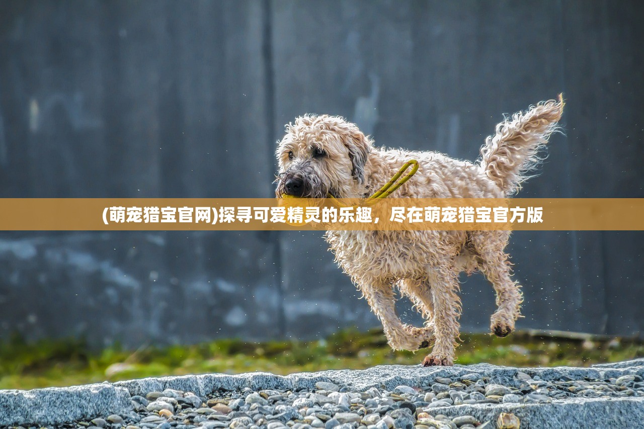 (萌宠猎宝官网)探寻可爱精灵的乐趣，尽在萌宠猎宝官方版