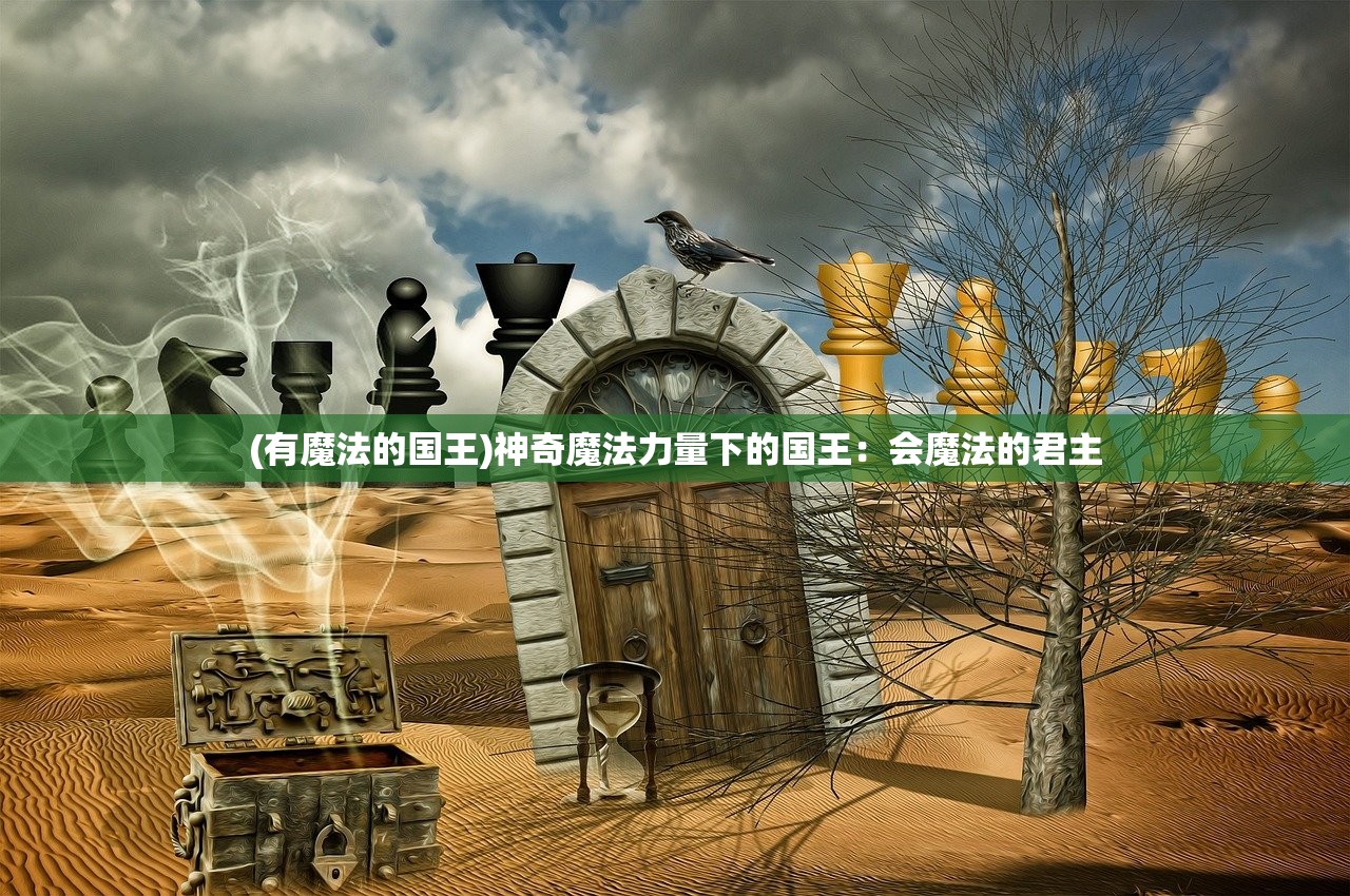(有魔法的国王)神奇魔法力量下的国王：会魔法的君主