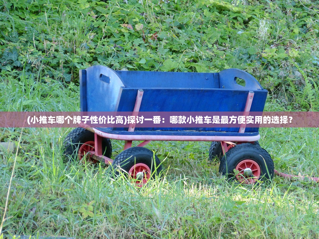 (小推车哪个牌子性价比高)探讨一番：哪款小推车是最方便实用的选择？