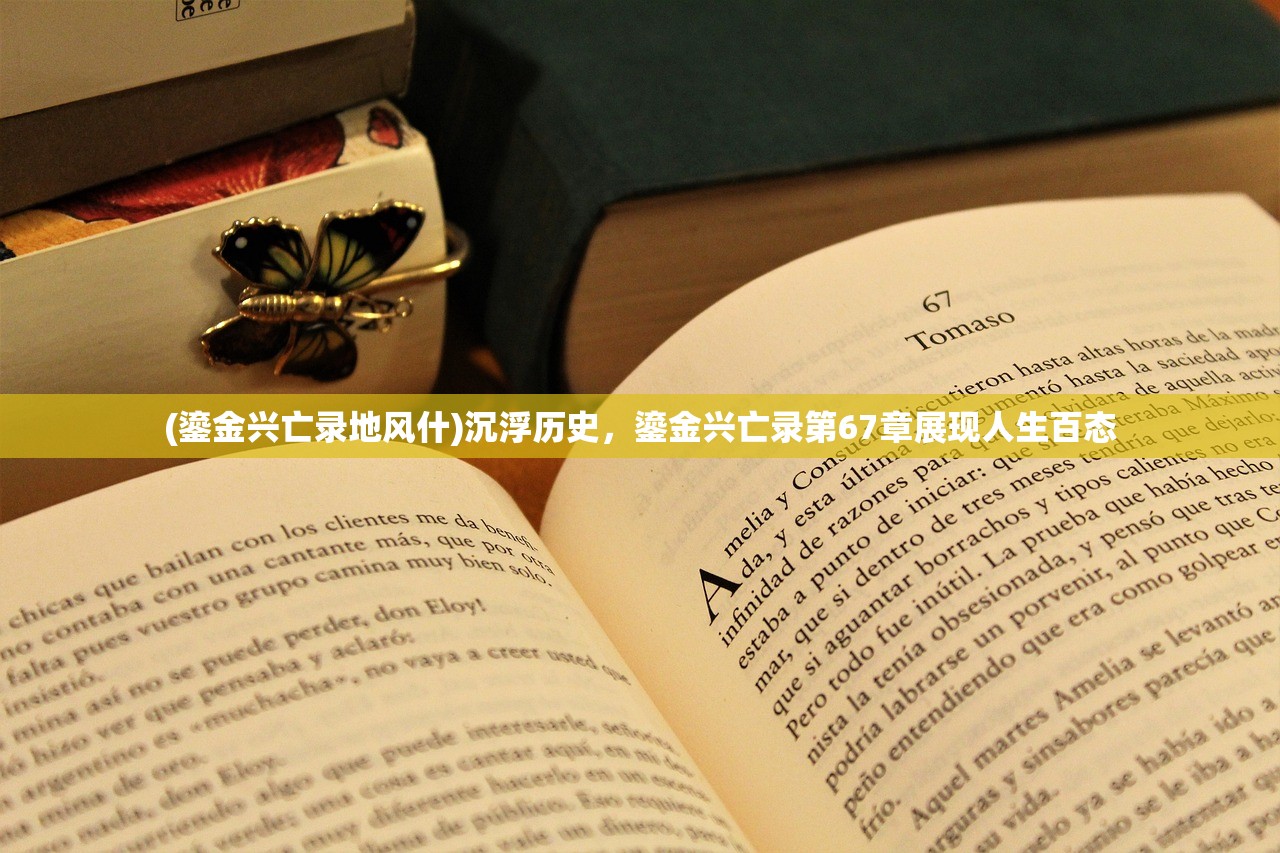 (鎏金兴亡录地风什)沉浮历史，鎏金兴亡录第67章展现人生百态