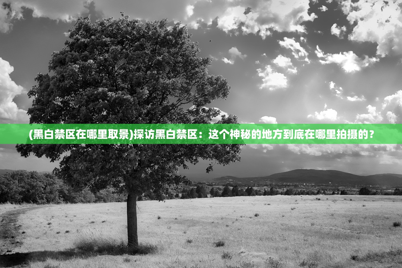 极限逃脱之咒村奇案攻略第二章，深入谜案核心