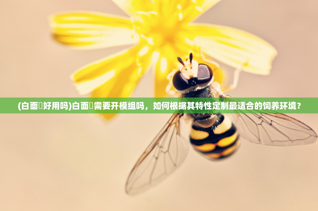 (白面鸮好用吗)白面鸮需要开模组吗，如何根据其特性定制最适合的饲养环境？