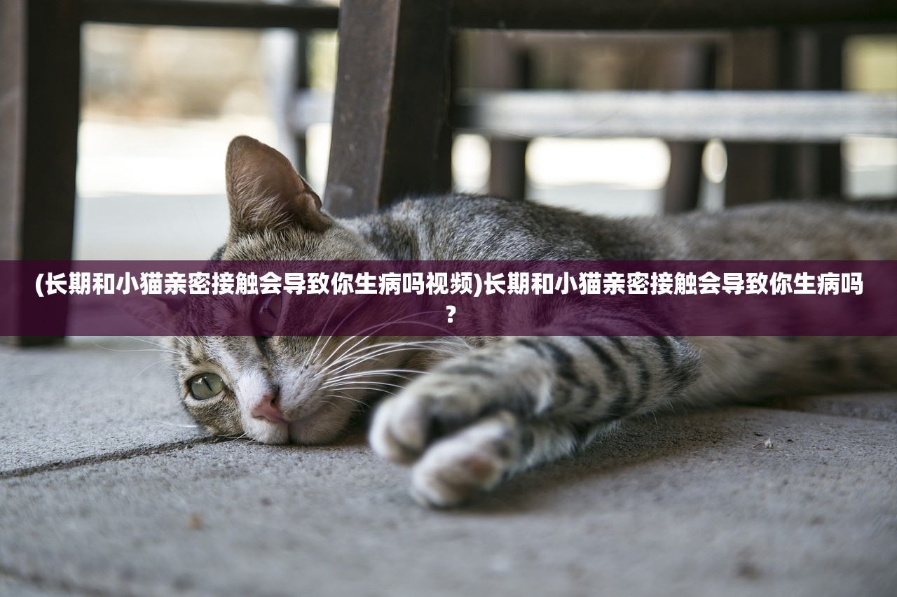 (逆转检察官1攻略图文第五)逆转检察官1攻略图文详解及常见问题解答