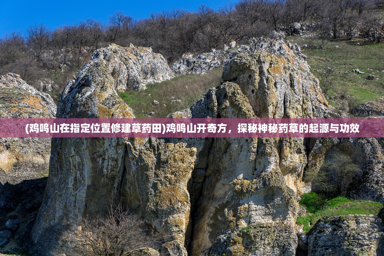 澳门金钥匙三肖三码|探索新兴趋势与生活智慧_win7.244