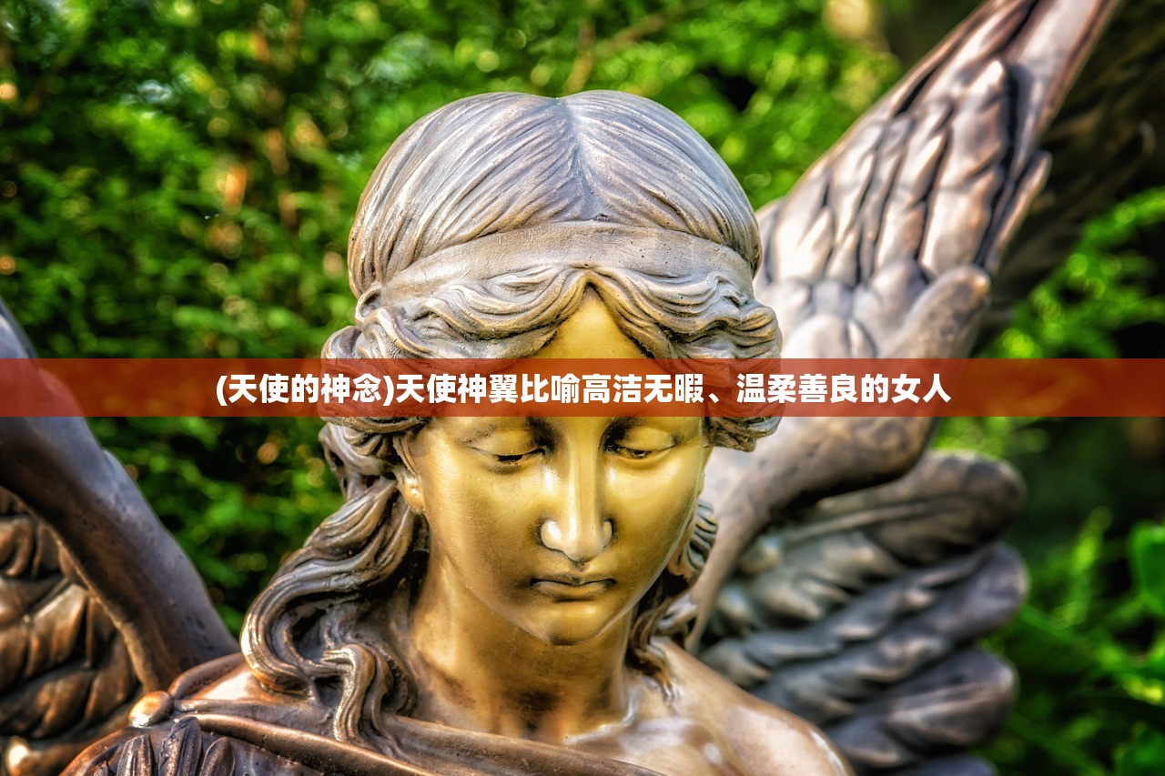 (天使的神念)天使神翼比喻高洁无暇、温柔善良的女人
