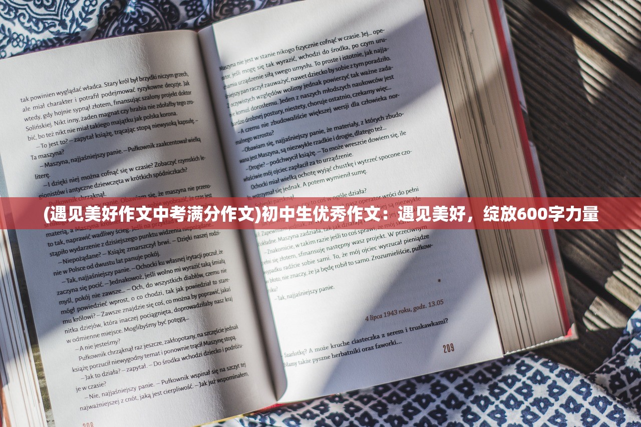 (蜀山剑侠传三次斗剑)蜀山斗剑厨师配方揭秘，古老武术与烹饪艺术的完美结合