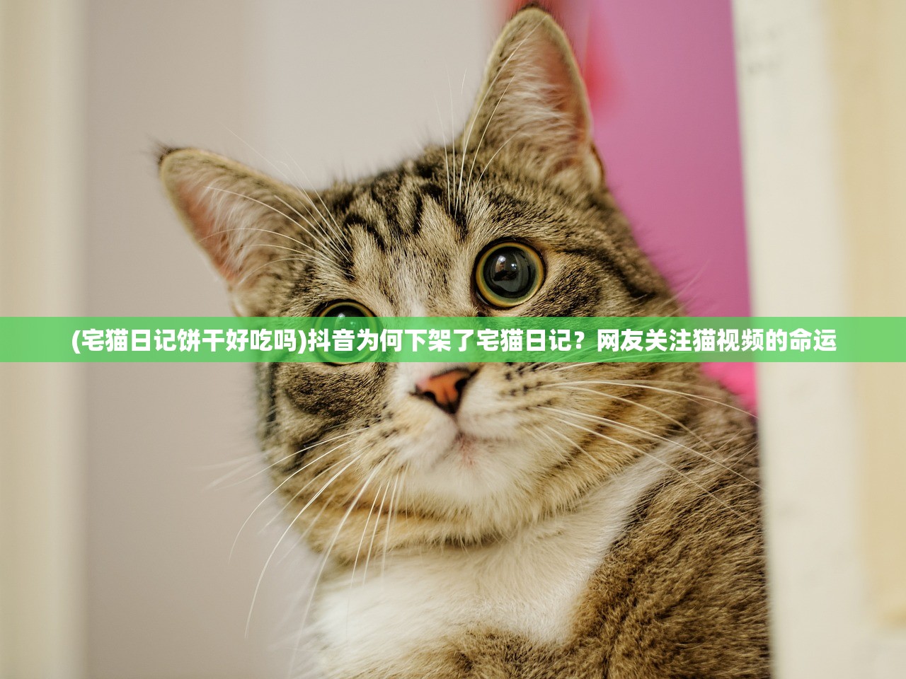 (太古战天诀全文免费阅读)太古战天诀，神秘修炼法则的深度解析