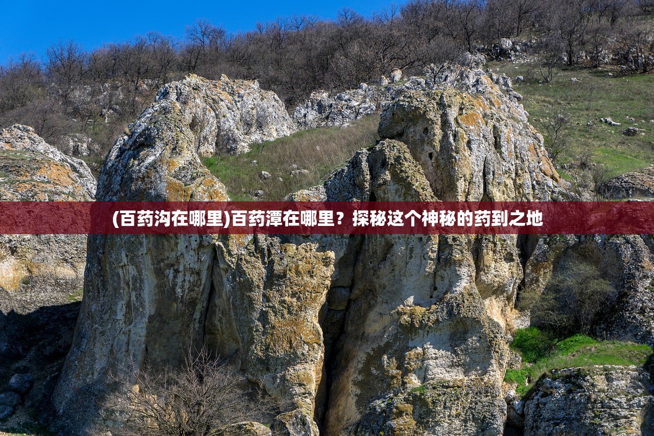 管家婆正版四不像资料大全|经典解释落实_跨界版.9.16
