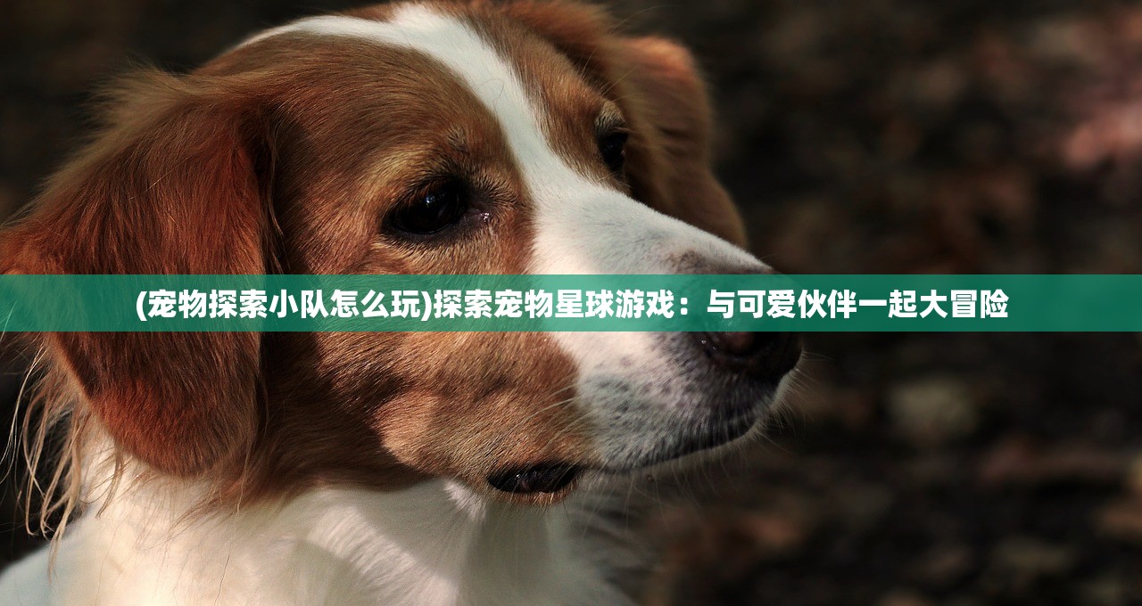 (宠物探索小队怎么玩)探索宠物星球游戏：与可爱伙伴一起大冒险