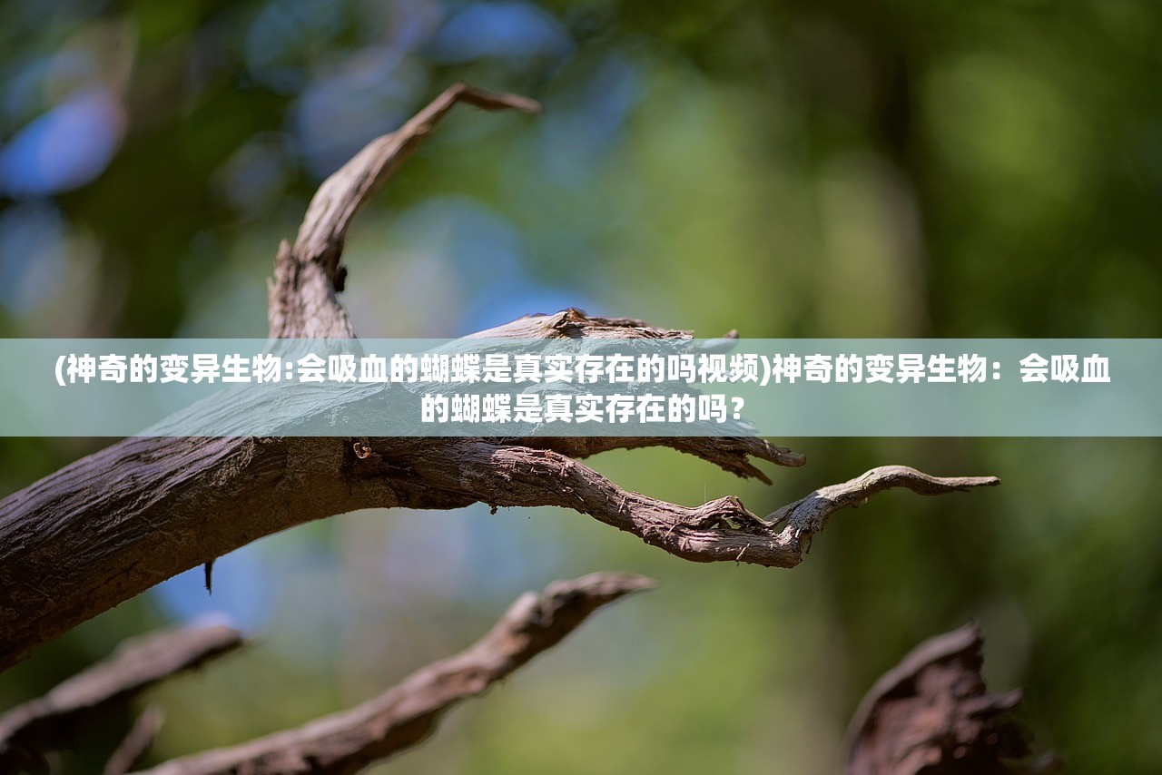 (神奇的变异生物:会吸血的蝴蝶是真实存在的吗视频)神奇的变异生物：会吸血的蝴蝶是真实存在的吗？
