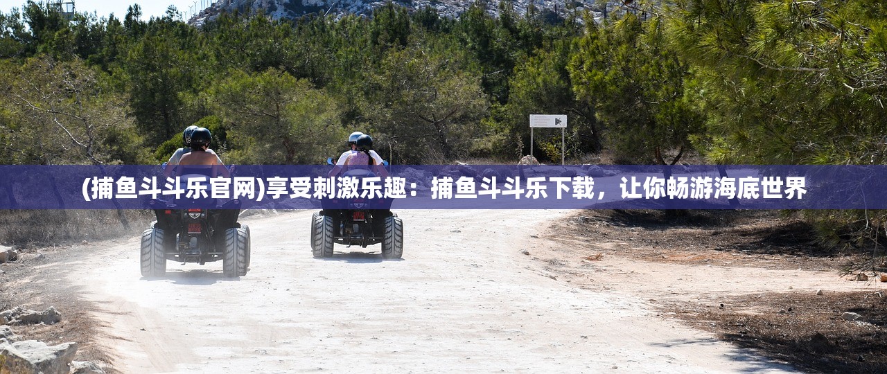 (梦西游戏)梦西游贴吧，游戏情怀与社区文化的交织