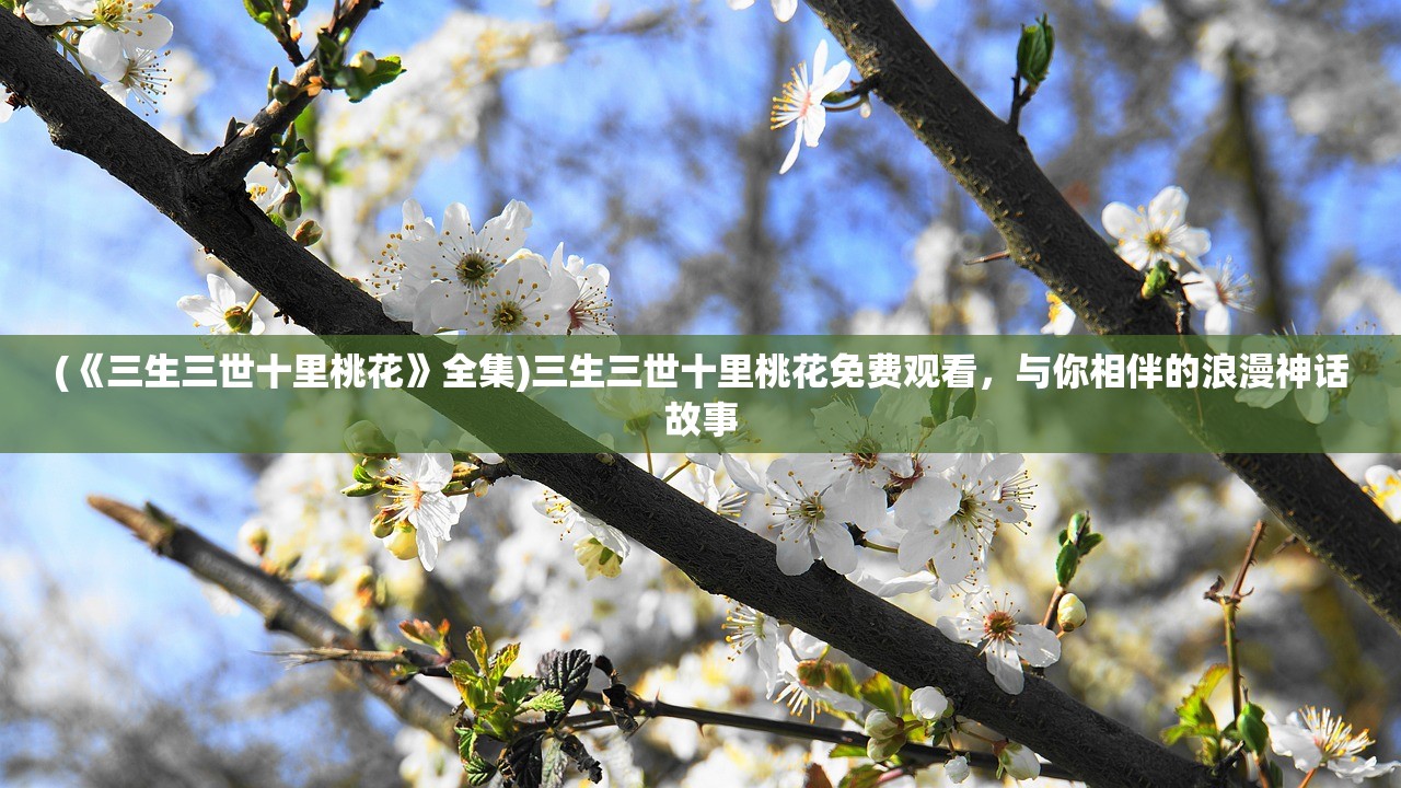 (乱斗三国吧)乱斗三国报上名来，游戏攻略与玩法详解