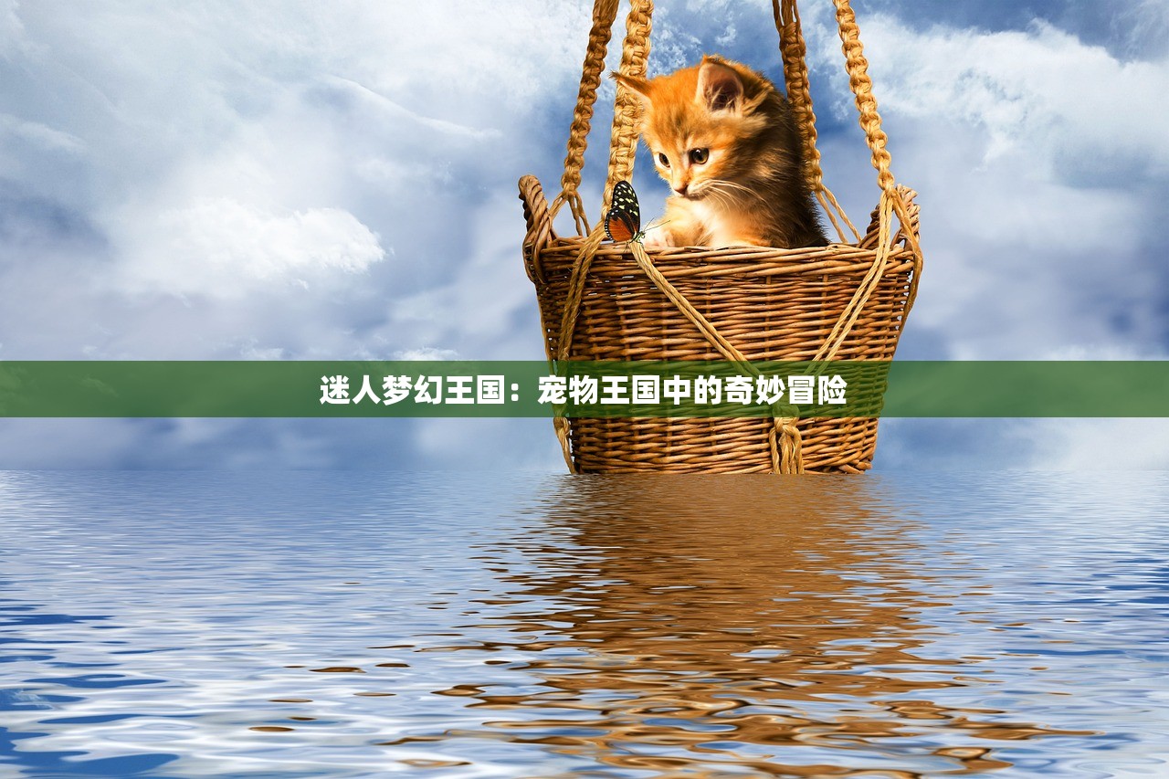 (悟空飞翔传怎么闪避)悟空飞翔传，贝吉塔之战后的遐想
