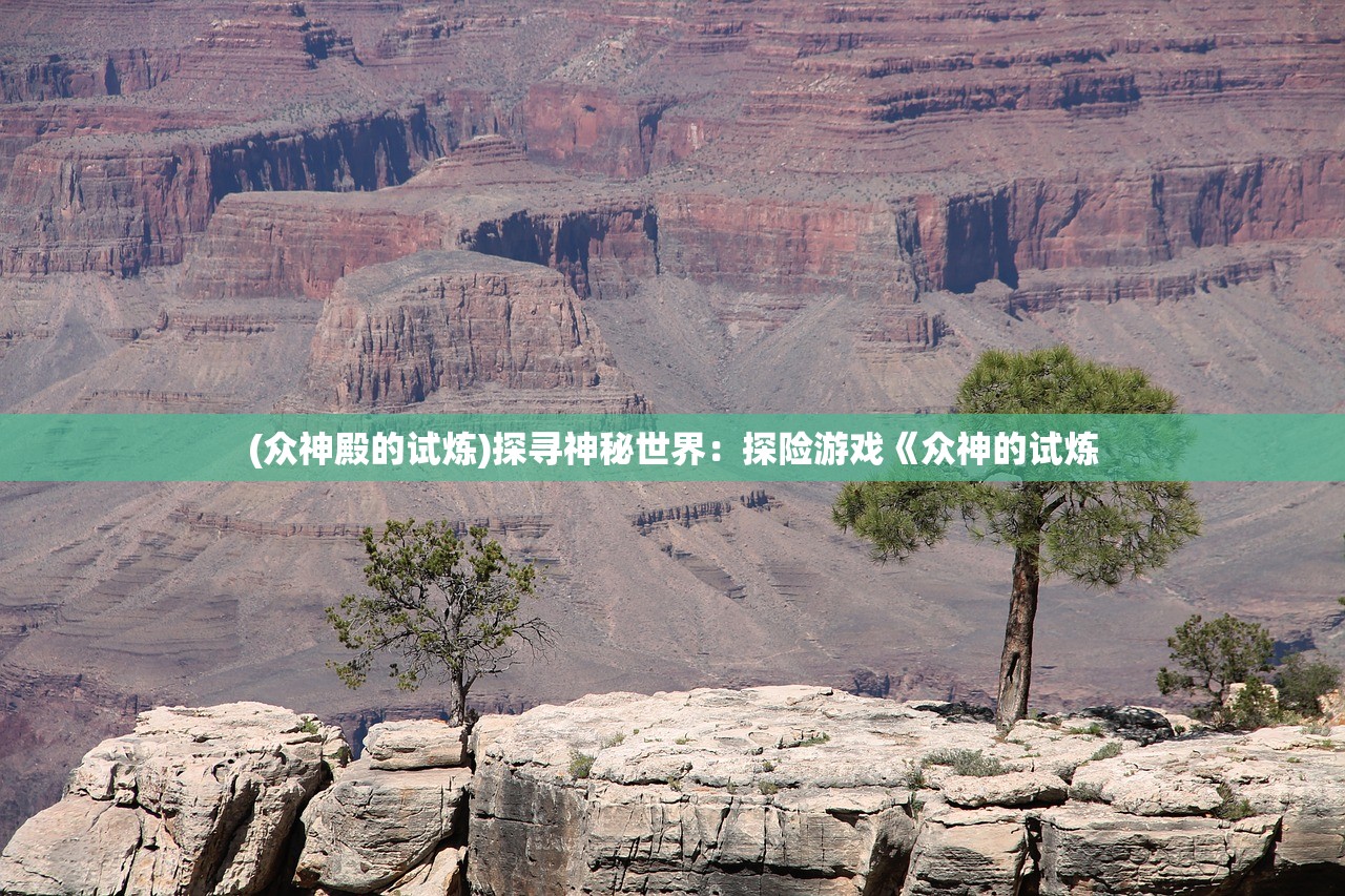 (王师逐鹿手游最终阵容推荐)王师逐鹿手游，引领新时代的策略竞技体验