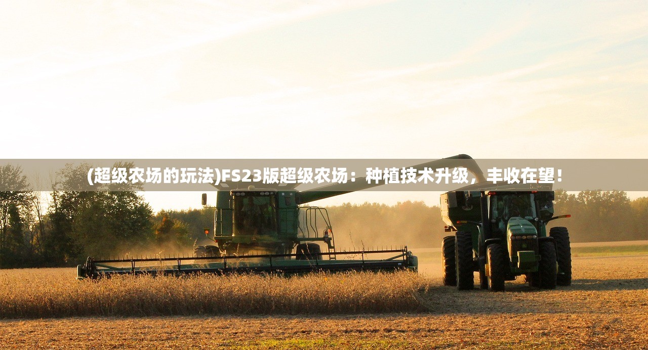 (王师逐鹿手游最终阵容推荐)王师逐鹿手游，引领新时代的策略竞技体验