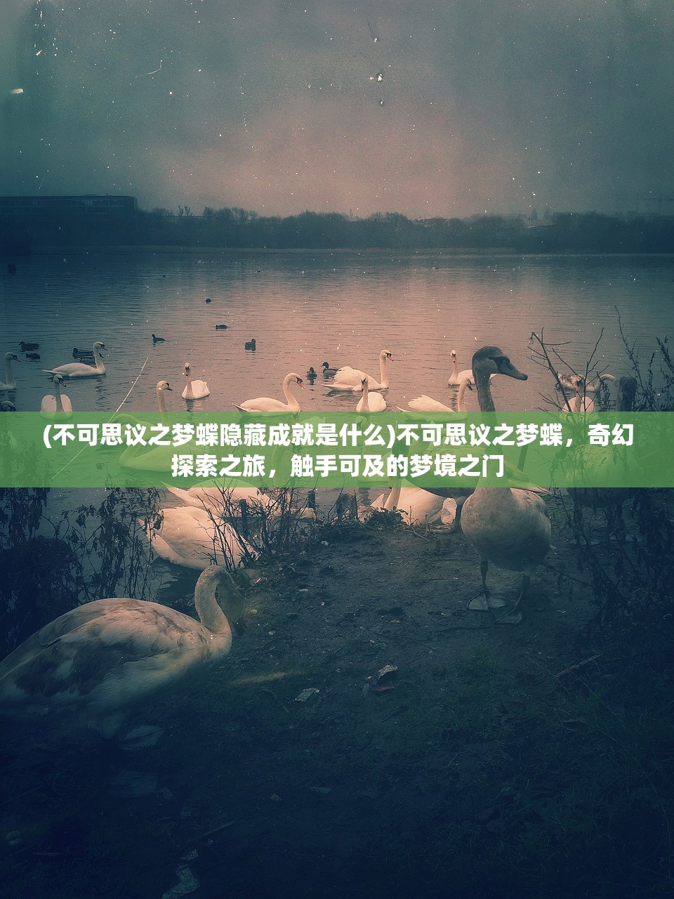 (大王之梦 电视剧下载)大王之梦，电视剧中的权力与梦想交织