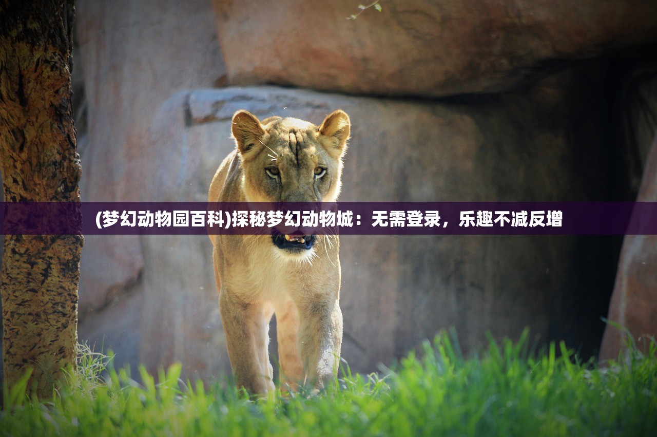 (梦幻动物园百科)探秘梦幻动物城：无需登录，乐趣不减反增