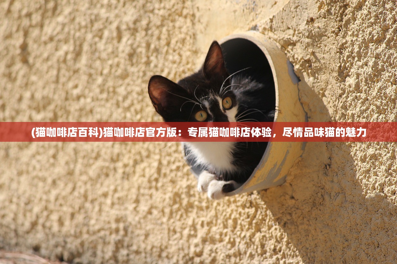 2024新奥免费资料领取|探秘澳门独特魅力与文化_过度集.1.955