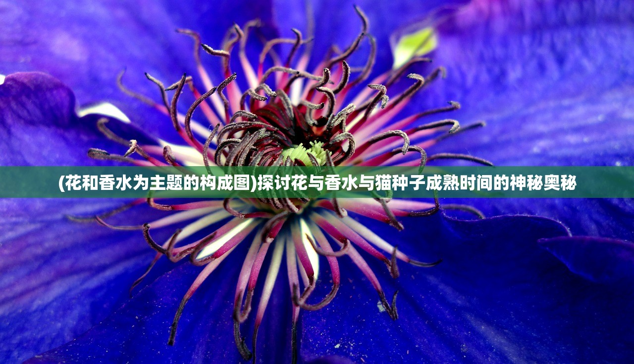 (花和香水为主题的构成图)探讨花与香水与猫种子成熟时间的神秘奥秘