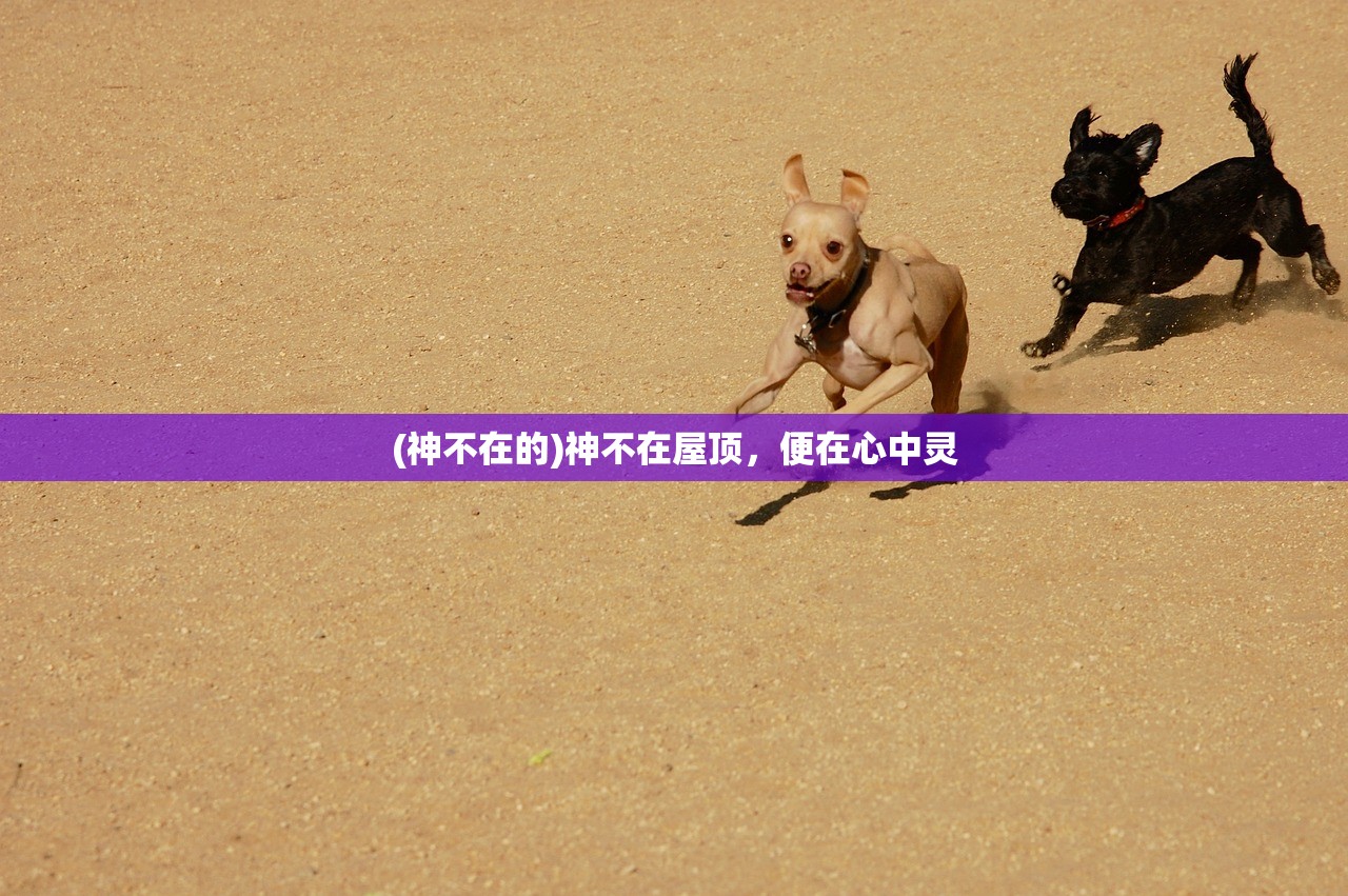 (神不在的)神不在屋顶，便在心中灵