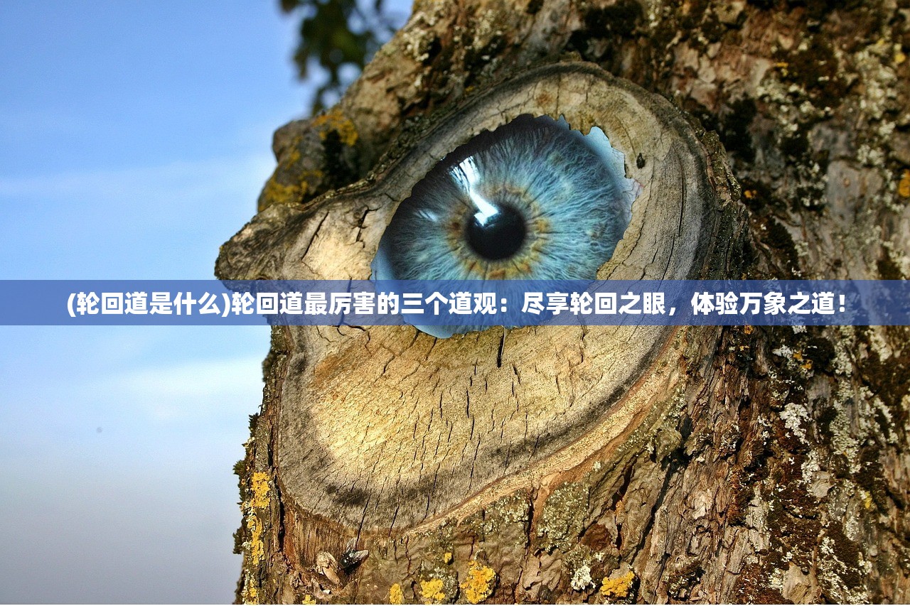 (三国群英传7十大神器获取方法)三国群英传7，揭秘十大神器之威