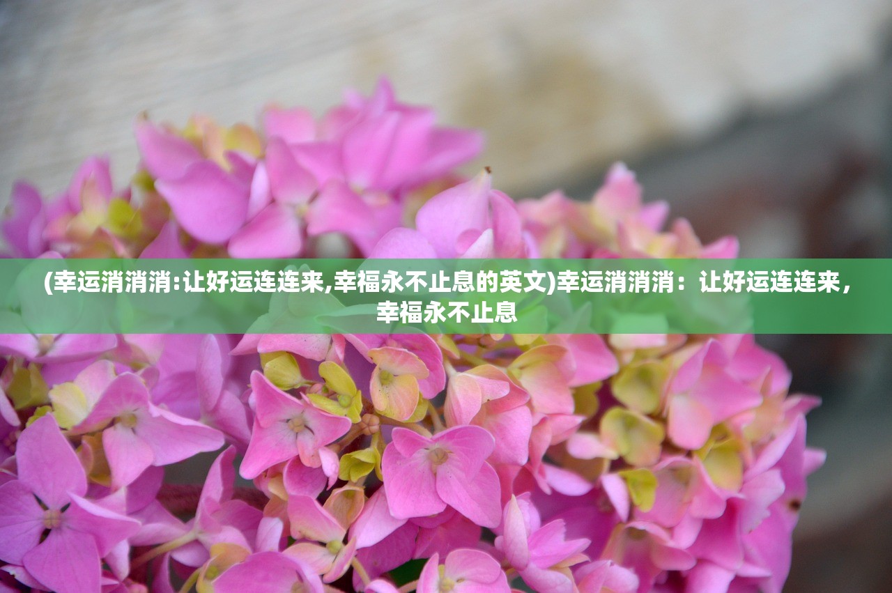(幸运消消消:让好运连连来,幸福永不止息的英文)幸运消消消：让好运连连来，幸福永不止息