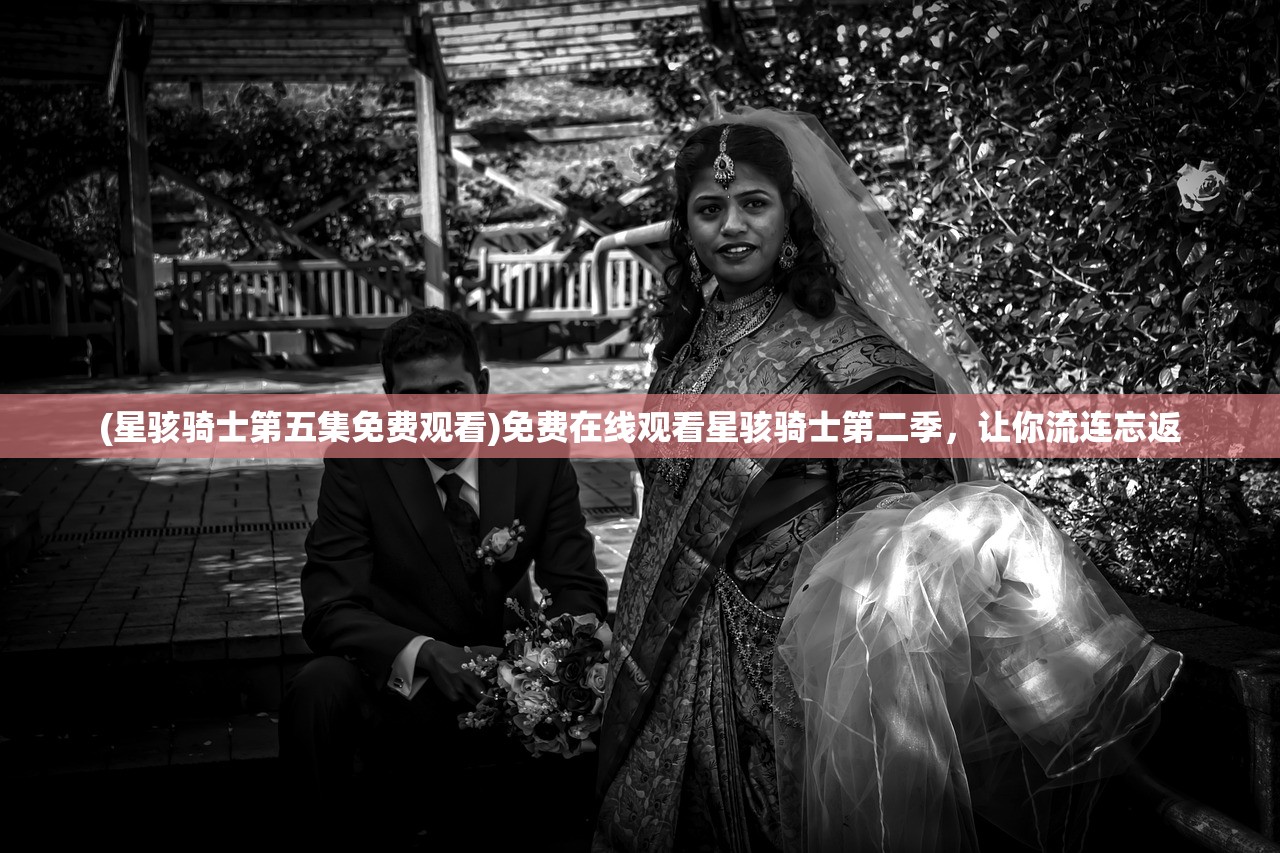 (星骇骑士第五集免费观看)免费在线观看星骇骑士第二季，让你流连忘返