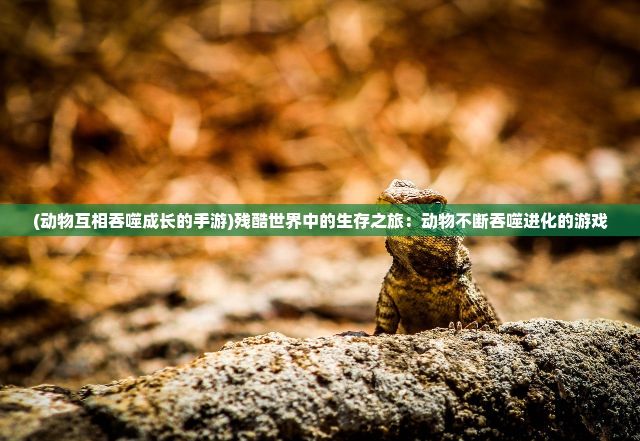 (吸血姬有用吗)吸血姬游戏安卓手机版，深度解析与常见问题解答