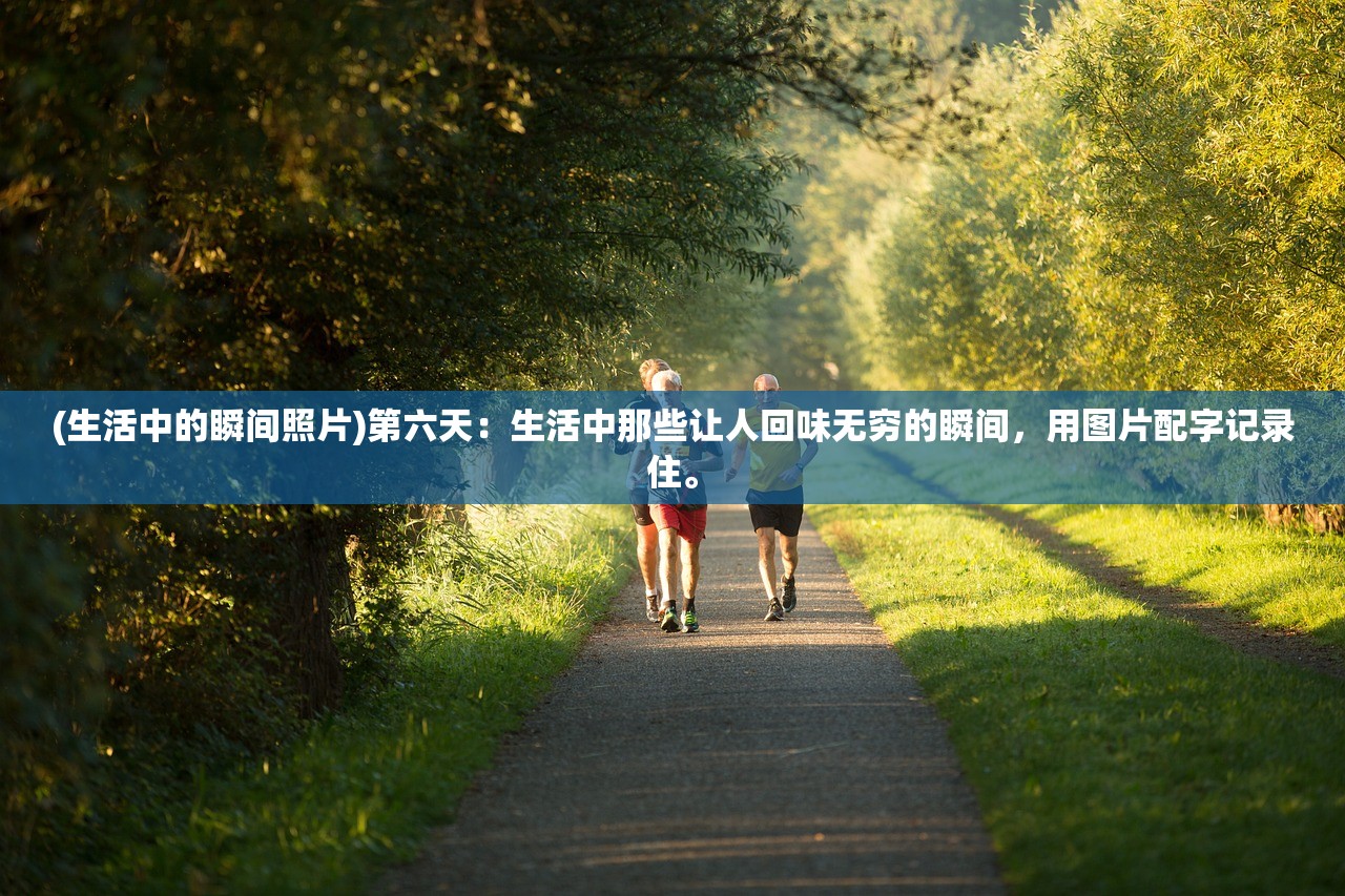 (我在长安开酒肆最新版)我在长安开酒肆汉化版正版，古风酒肆经营体验