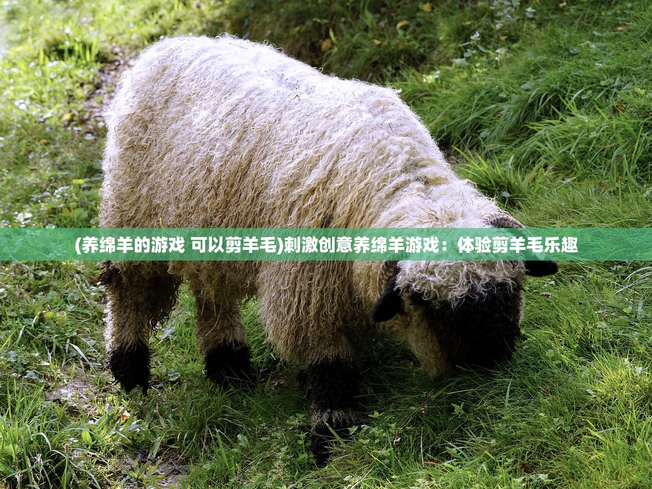 (三国耍大牌还有的玩吗)三国耍大牌是否仍在运营？深度解析其现状和未来