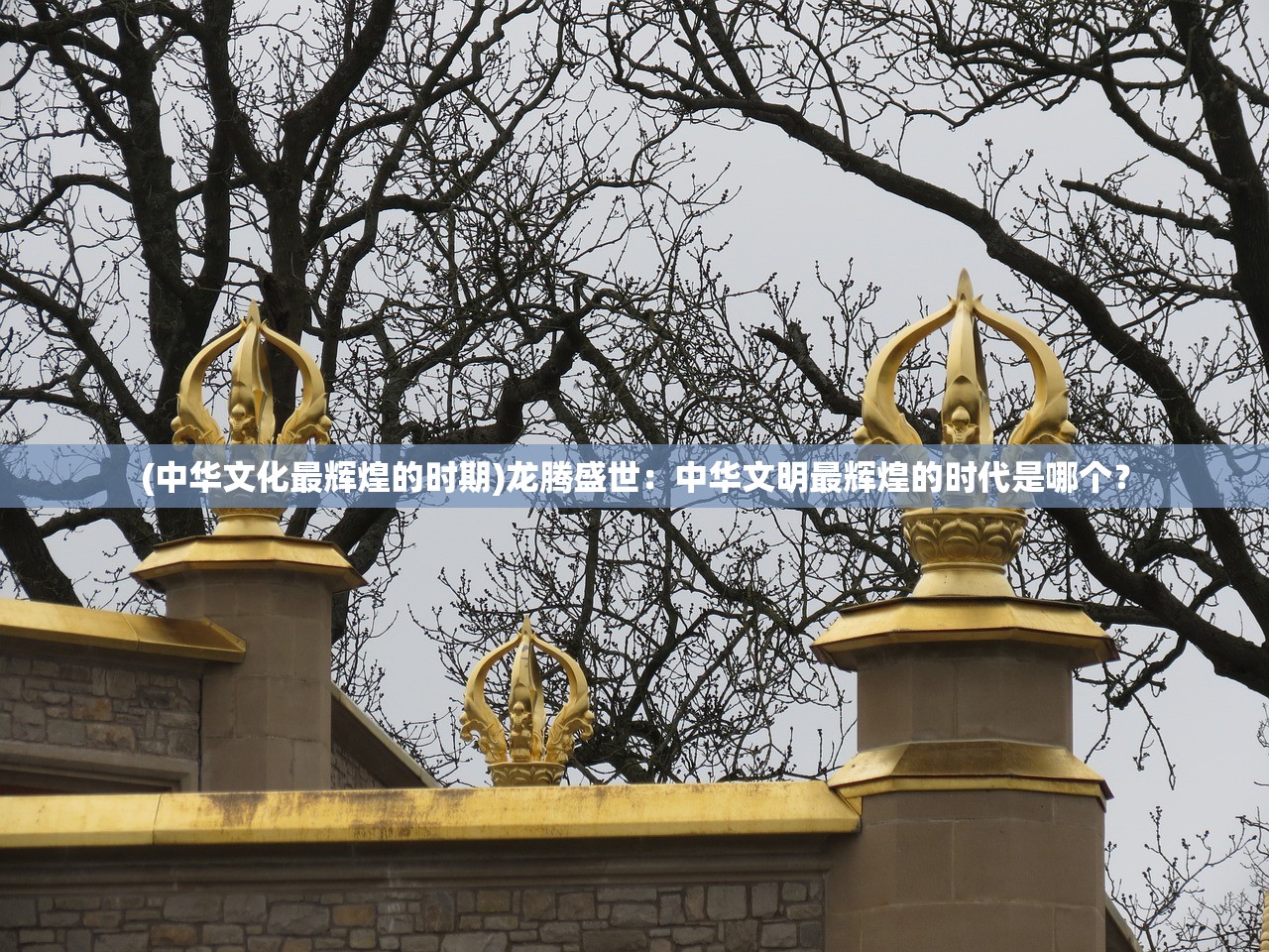 (中华文化最辉煌的时期)龙腾盛世：中华文明最辉煌的时代是哪个？