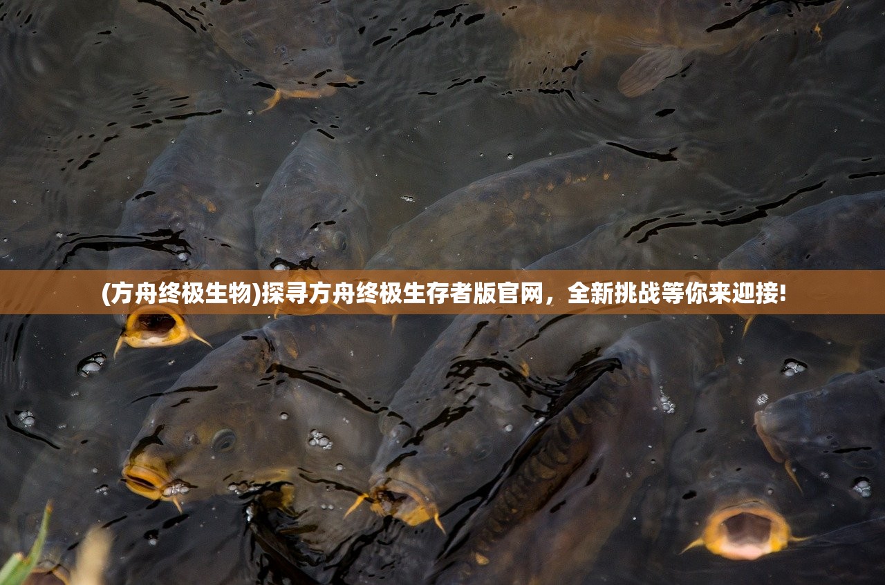 (北境诸王之刃开什么箱子)北境诸王大剑，传奇之剑的史诗之旅