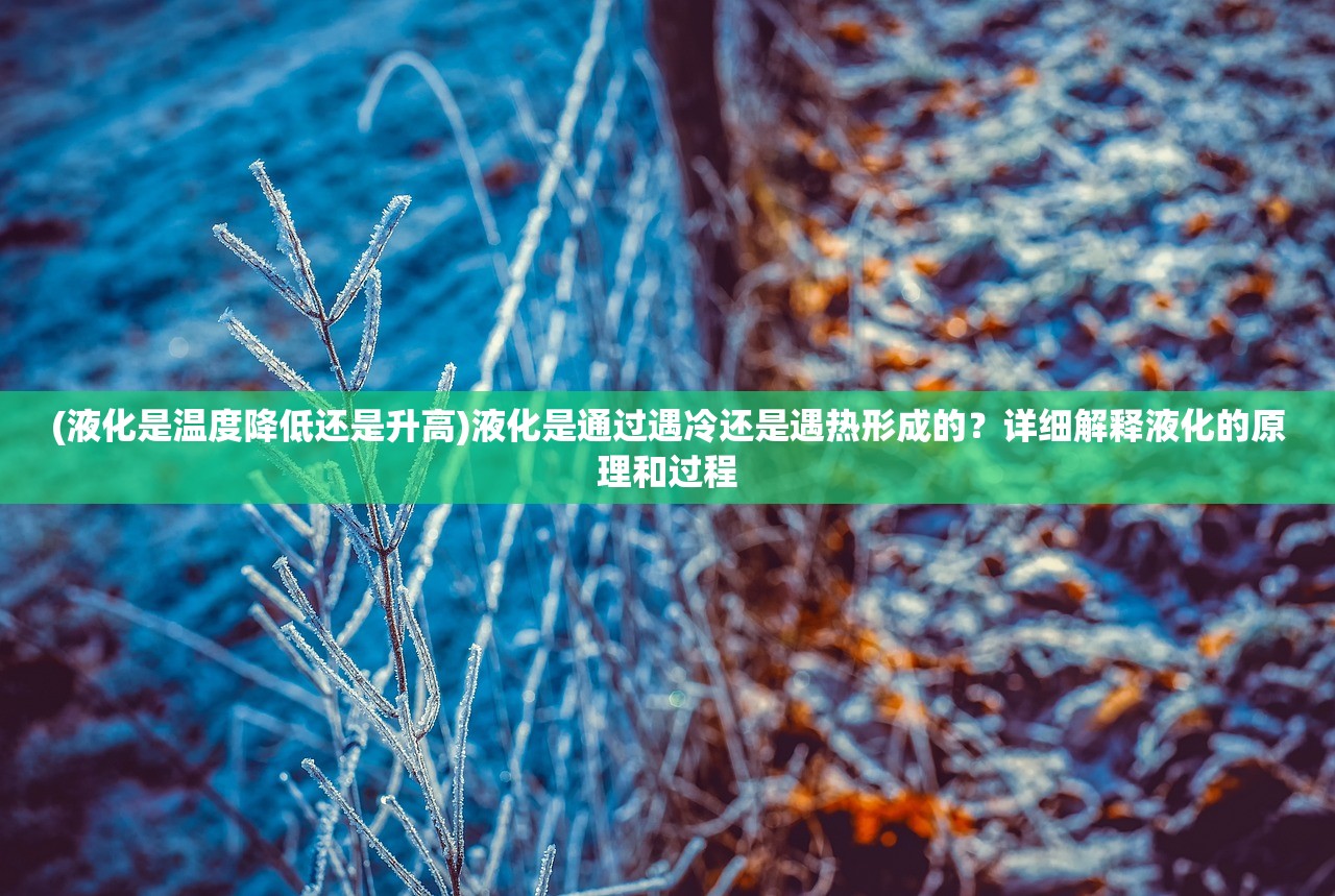 (君王3d官网)君王3D，揭秘这款游戏背后的世界