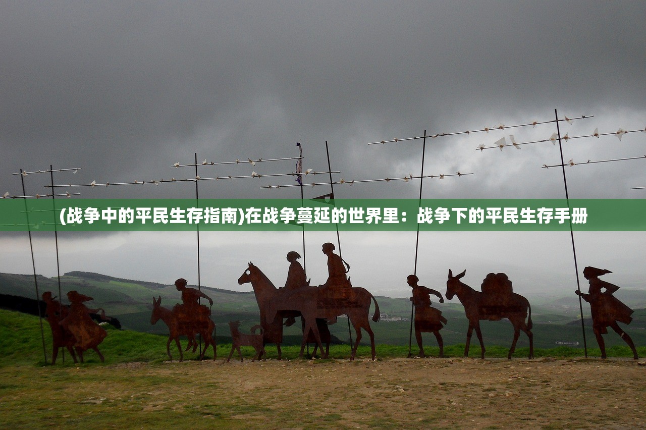 (战争中的平民生存指南)在战争蔓延的世界里：战争下的平民生存手册