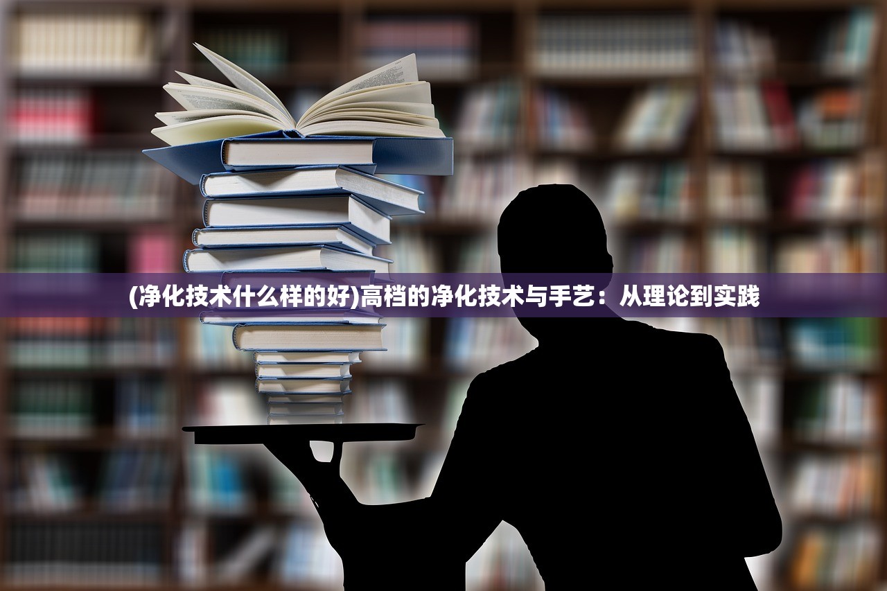 (净化技术什么样的好)高档的净化技术与手艺：从理论到实践