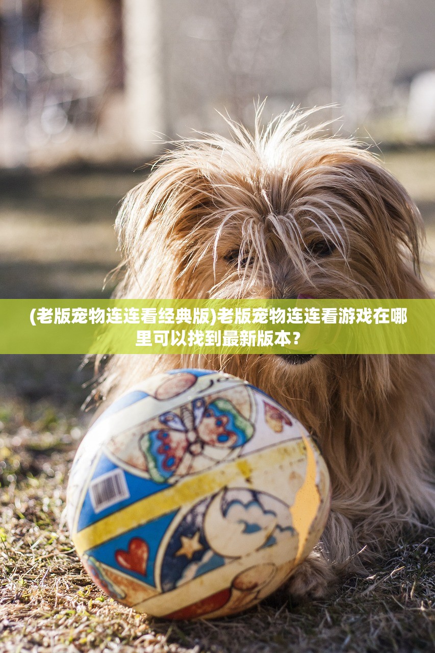 (老版宠物连连看经典版)老版宠物连连看游戏在哪里可以找到最新版本？