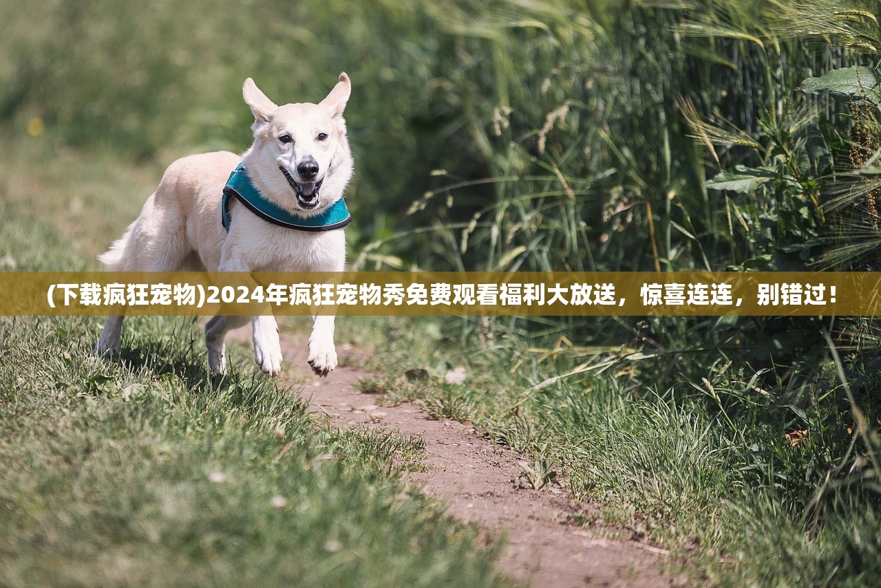 (下载疯狂宠物)2024年疯狂宠物秀免费观看福利大放送，惊喜连连，别错过！