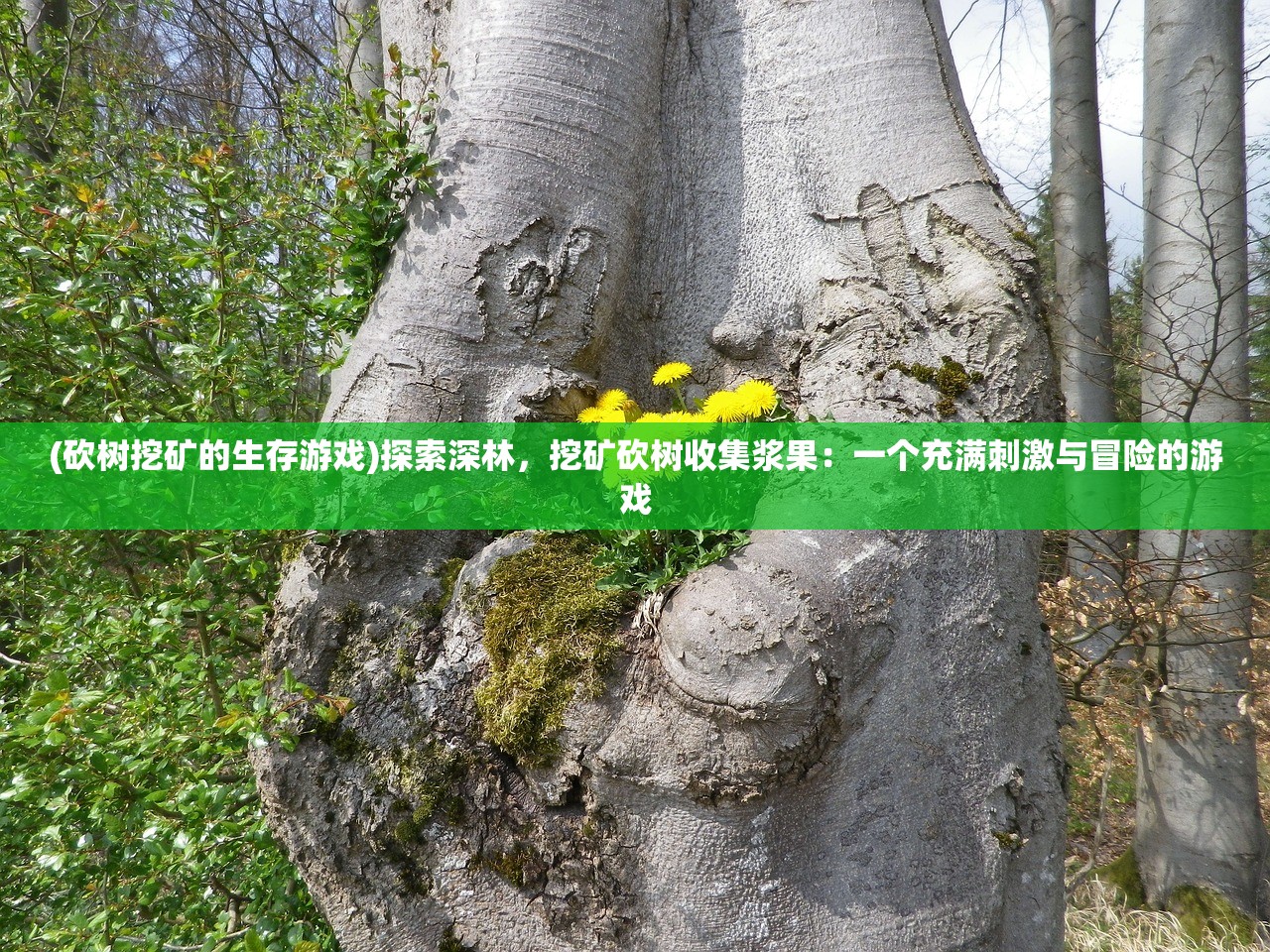 (砍树挖矿的生存游戏)探索深林，挖矿砍树收集浆果：一个充满刺激与冒险的游戏