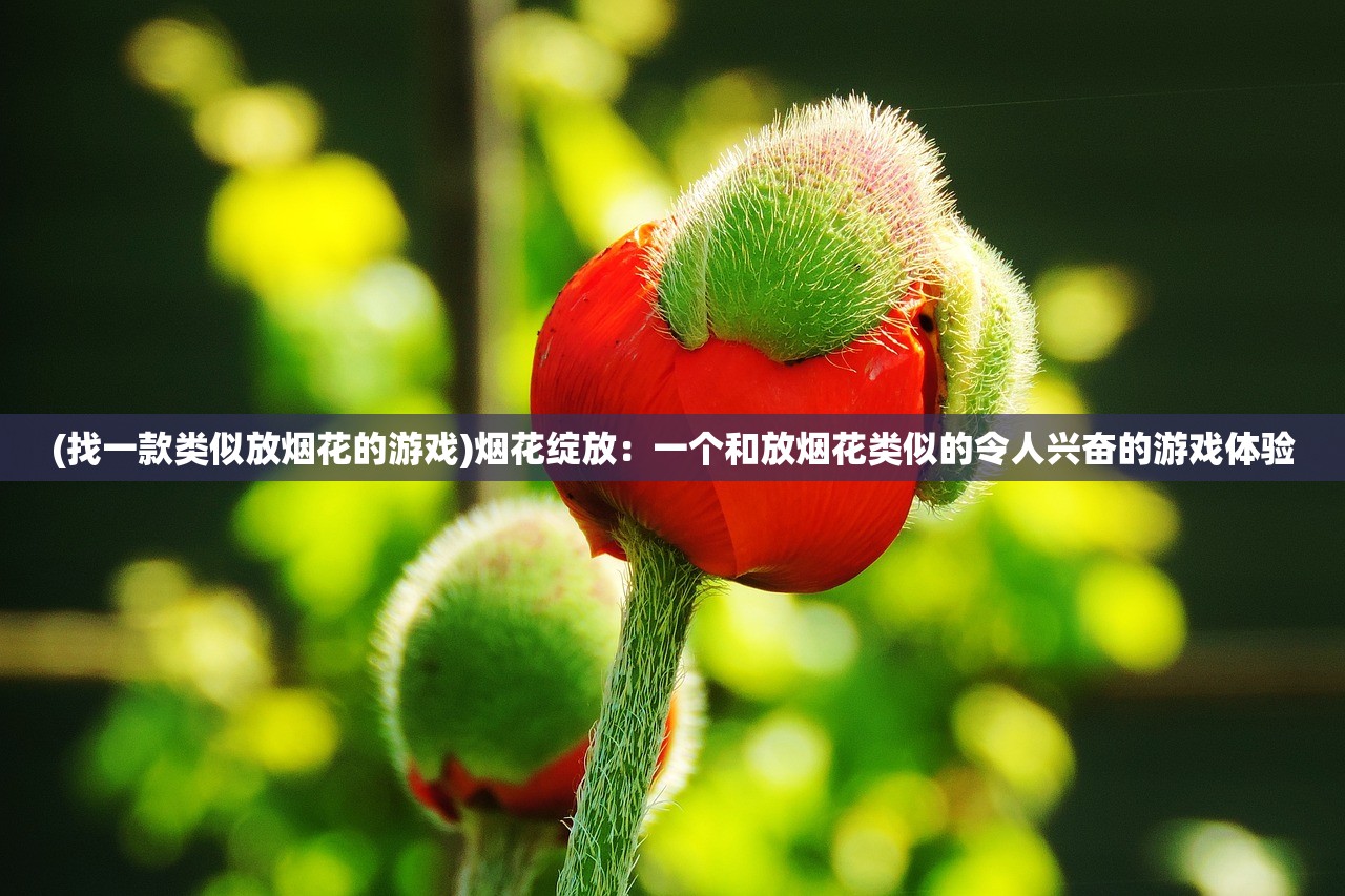 (找一款类似放烟花的游戏)烟花绽放：一个和放烟花类似的令人兴奋的游戏体验