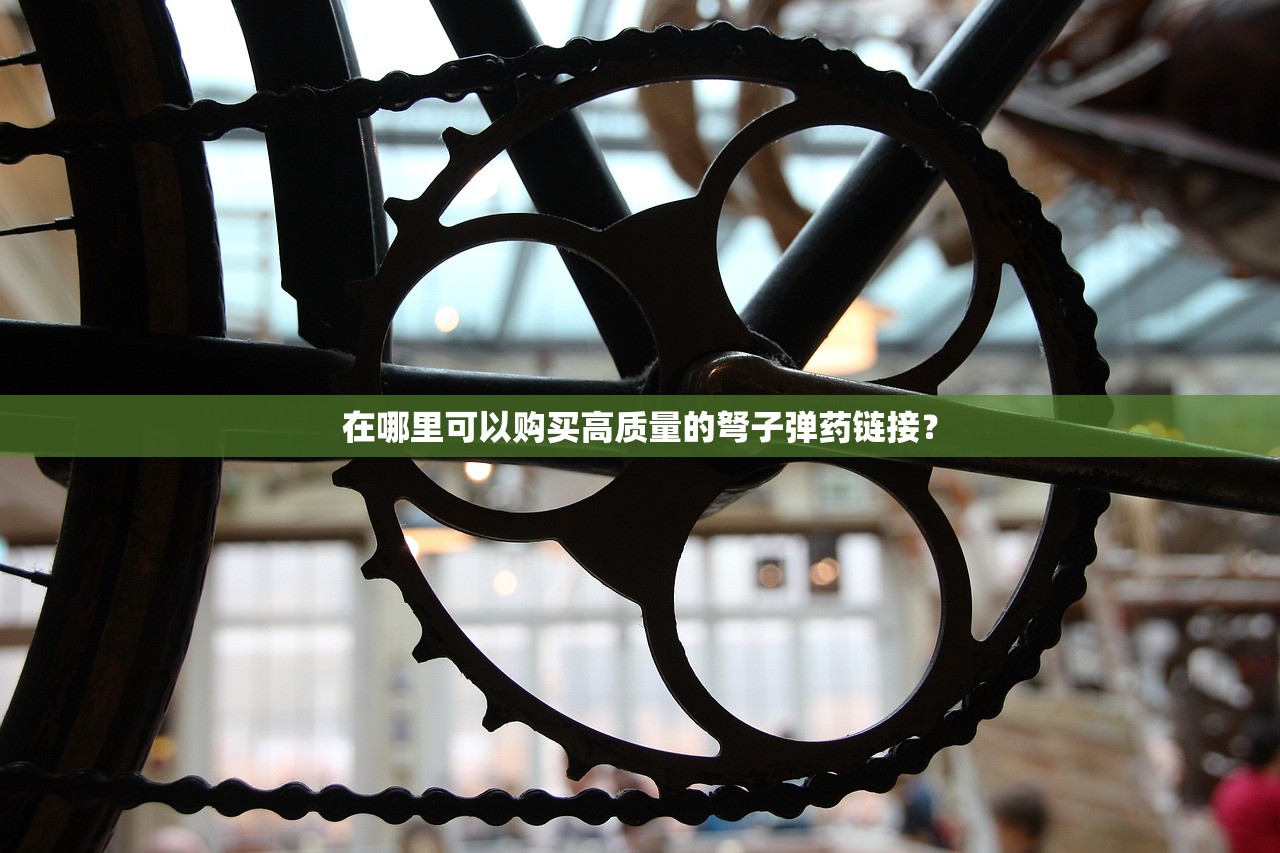 在哪里可以购买高质量的弩子弹药链接？