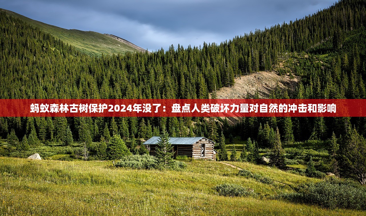 蚂蚁森林古树保护2024年没了：盘点人类破坏力量对自然的冲击和影响