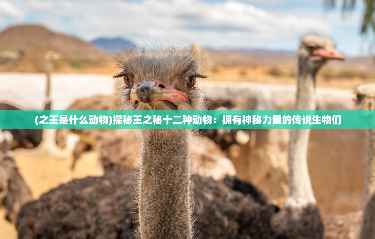 (之王是什么动物)探秘王之秘十二种动物：拥有神秘力量的传说生物们
