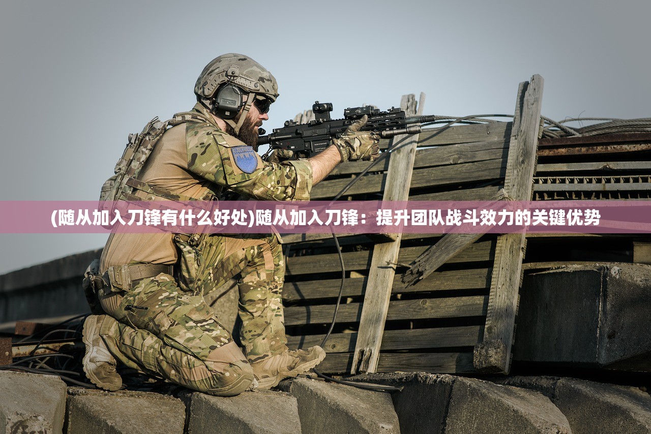 (随从加入刀锋有什么好处)随从加入刀锋：提升团队战斗效力的关键优势