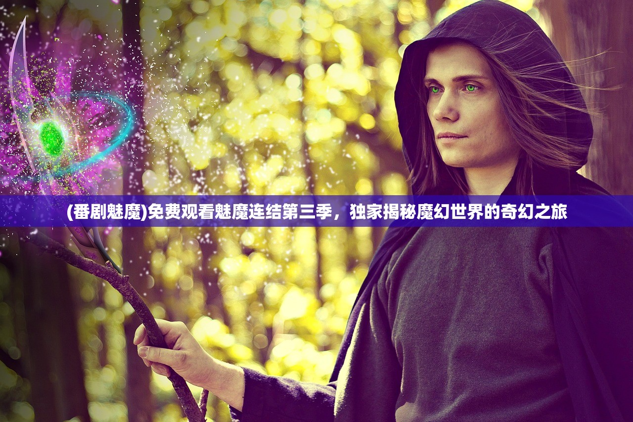 (番剧魅魔)免费观看魅魔连结第三季，独家揭秘魔幻世界的奇幻之旅