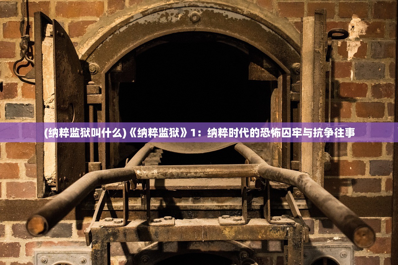(纳粹监狱叫什么)《纳粹监狱》1：纳粹时代的恐怖囚牢与抗争往事