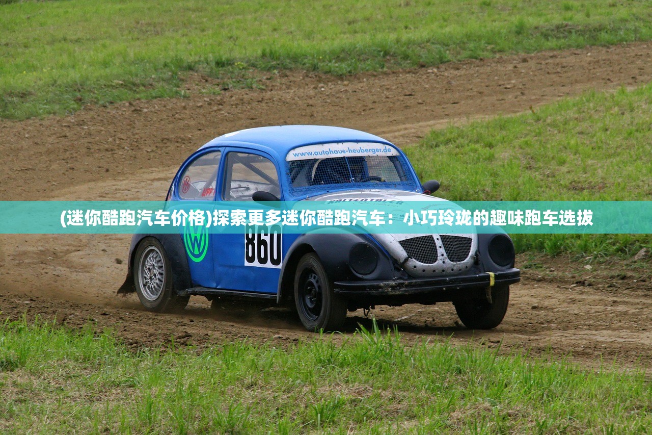 (迷你酷跑汽车价格)探索更多迷你酷跑汽车：小巧玲珑的趣味跑车选拔