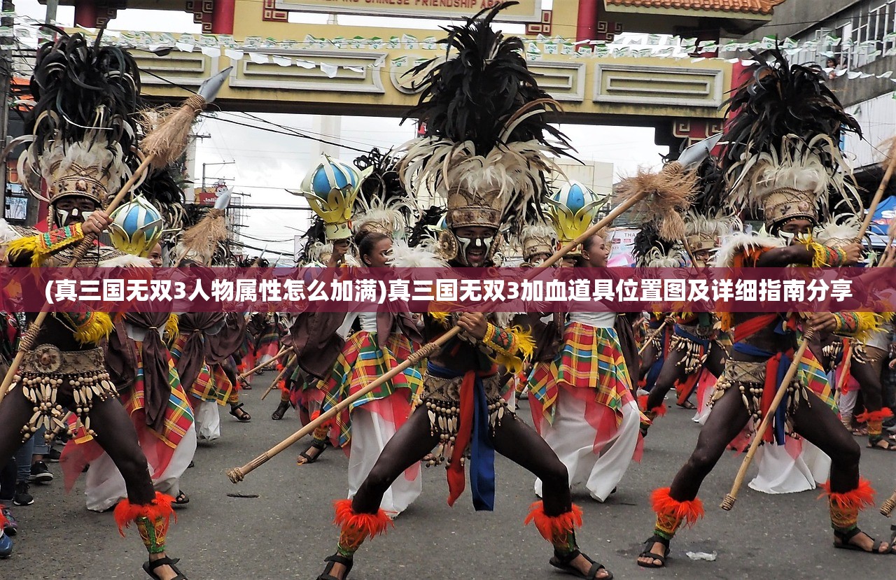 (真三国无双3人物属性怎么加满)真三国无双3加血道具位置图及详细指南分享