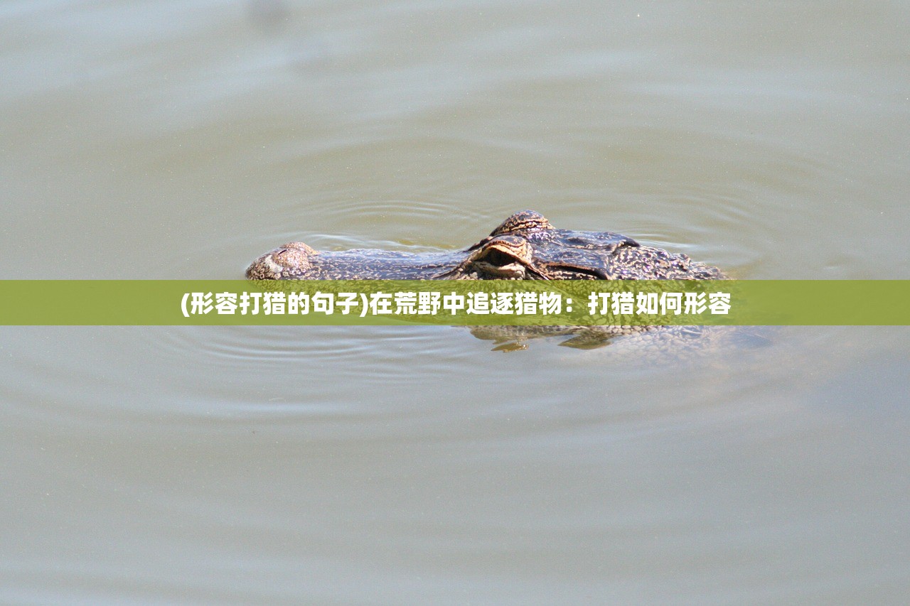 (形容打猎的句子)在荒野中追逐猎物：打猎如何形容