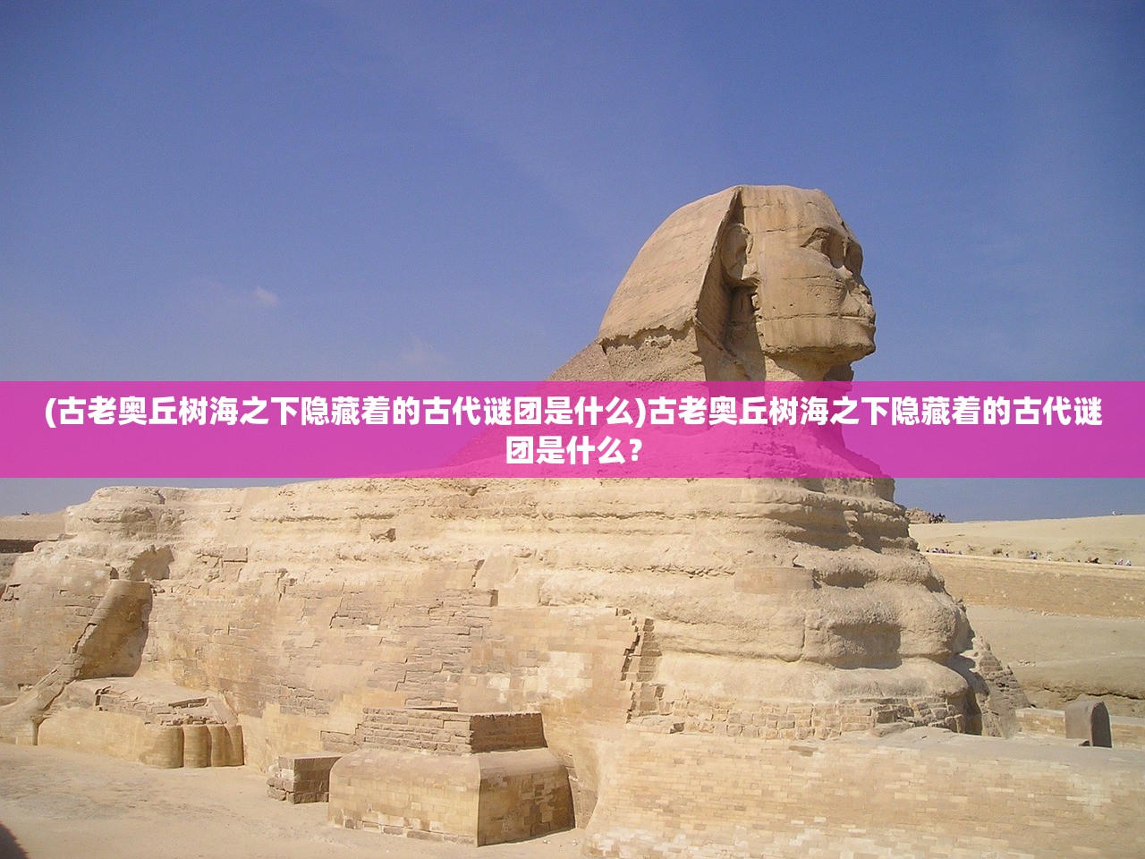 (古老奥丘树海之下隐藏着的古代谜团是什么)古老奥丘树海之下隐藏着的古代谜团是什么？