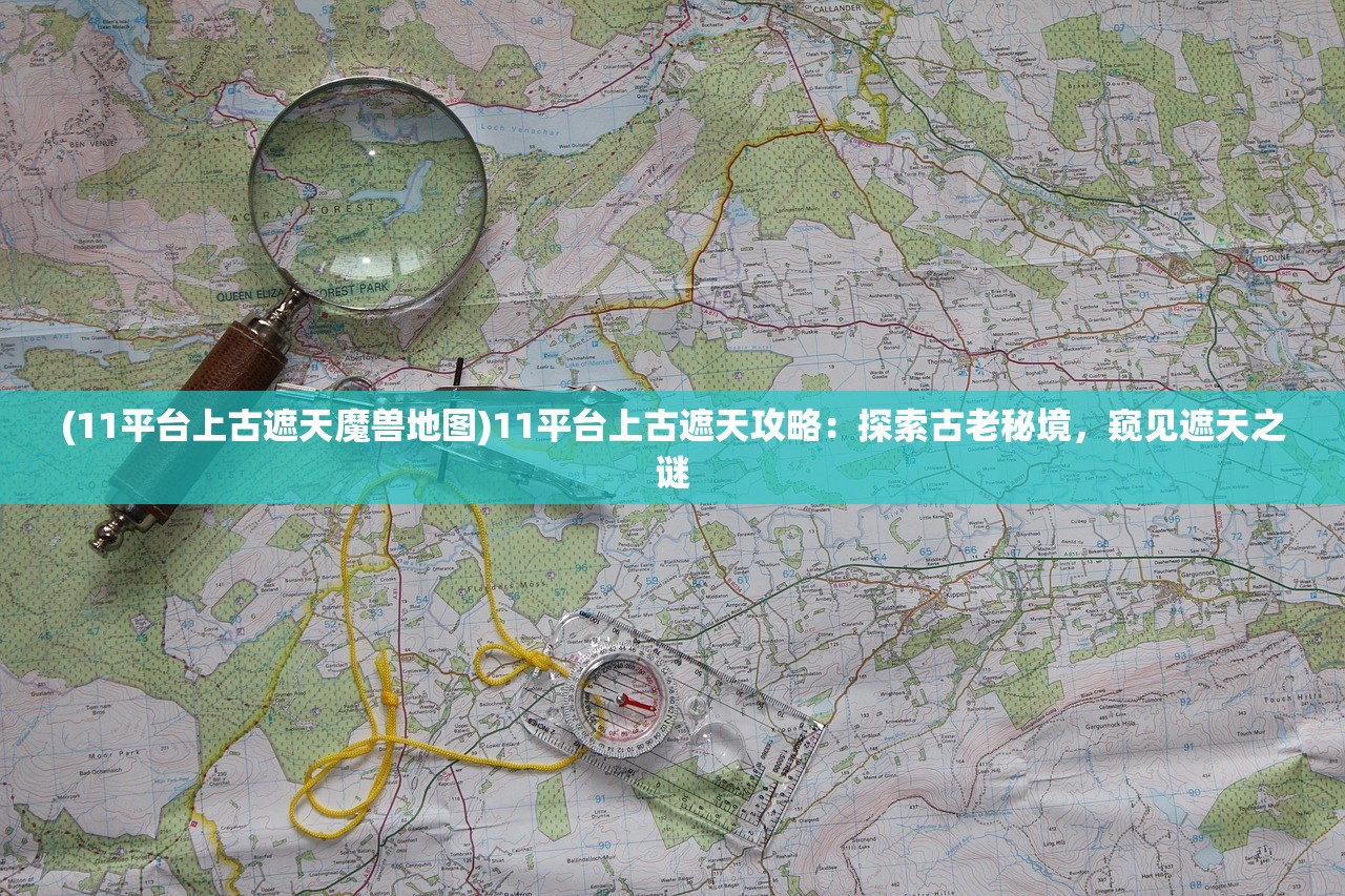 2024年澳门王中王资料|专业分析解释落实_维护版.7.377